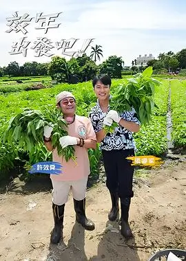 全员加速中2025 综艺 2025 刘蕾